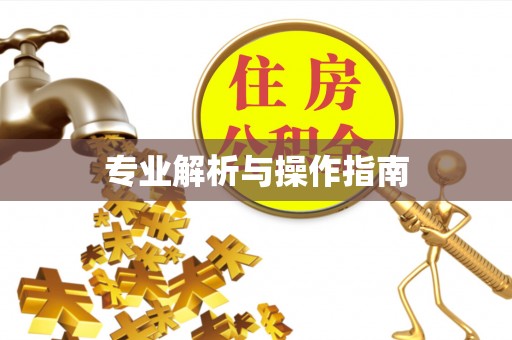 威海专业解析与操作指南