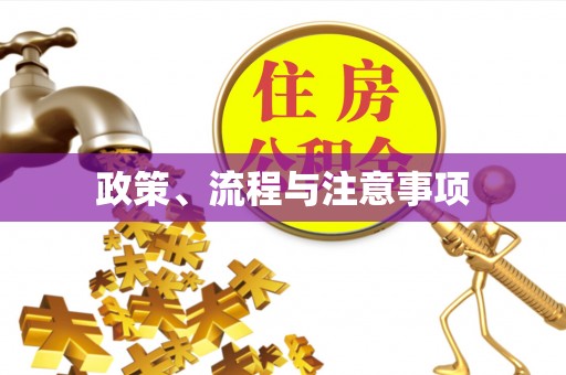 威海政策、流程与注意事项