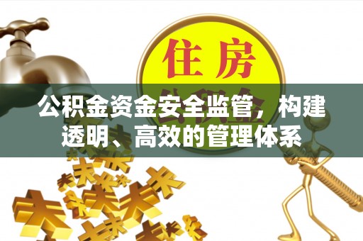 威海公积金资金安全监管，构建透明、高效的管理体系